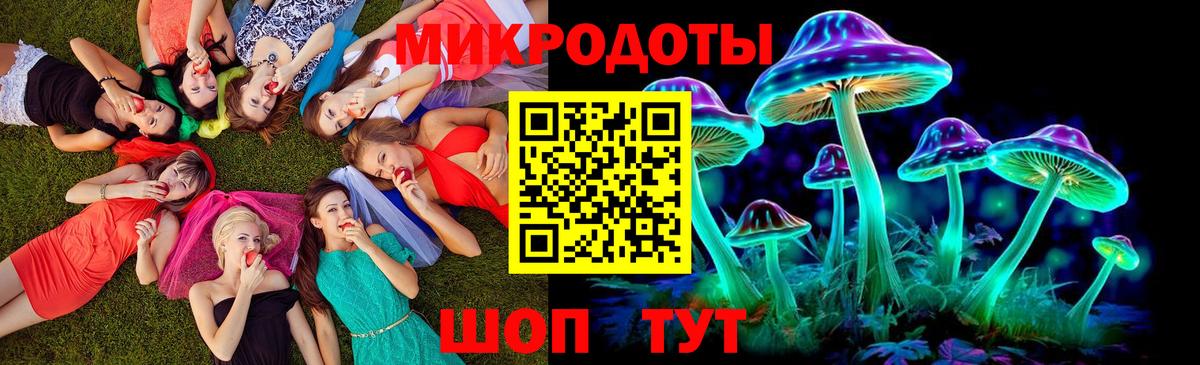 Псилоцибиновые грибы Psilocybine cubensis Приморско-Ахтарск