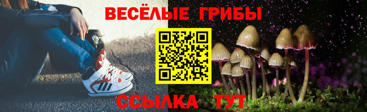 Псилоцибиновые грибы Magic Shrooms  Вход с VPN  Приморско-Ахтарск 